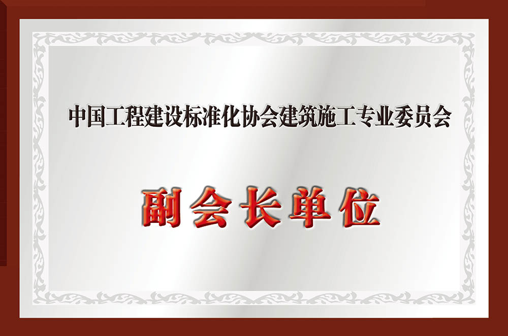 建筑施工專業(yè)委員會副會長單位